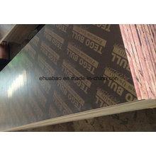 Premium Tego Film Faced Plywood Combined Core Phenolic Glue